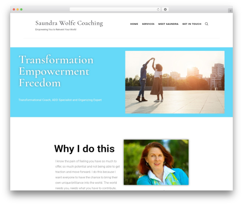 Iconpress lite WordPress plugin - saundrawolfe.com