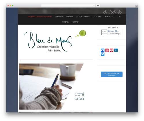 Ai WordPress plugin - bleudemars.com