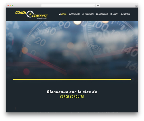 Mihdan index now WordPress plugin - coachconduite47.com