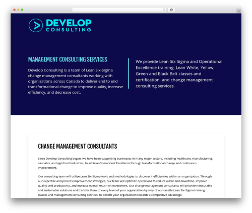 WordPress theme Develop Consulting - www.developconsulting.ca