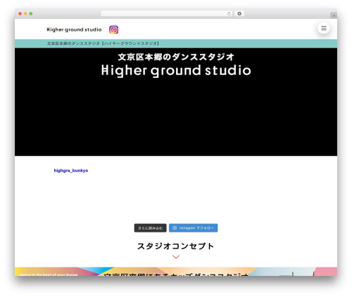 ActiveCamp WordPress theme - highgra.com
