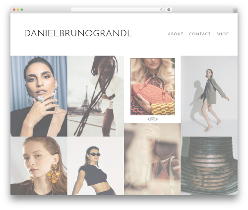 Daniel theme WordPress - danielbrunograndl.com