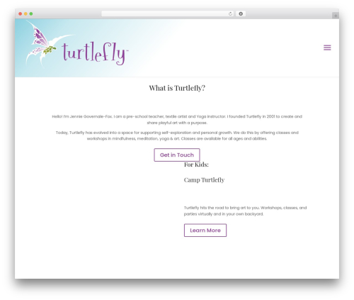 Divi WordPress theme - turtlefly.com