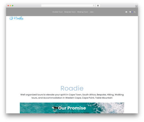 Entrada theme WordPress - roadie.co.za