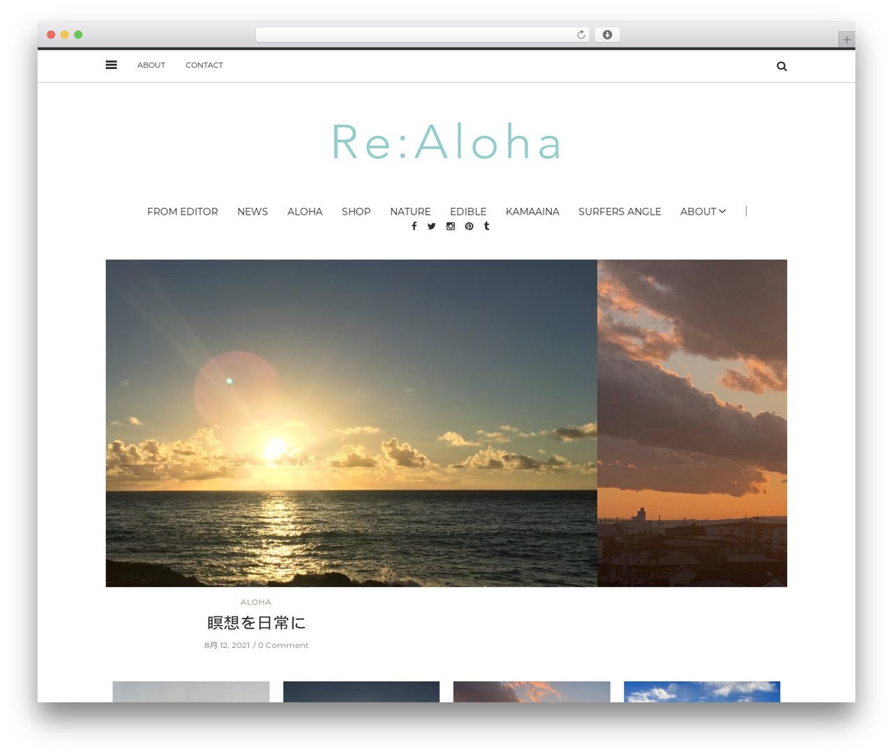 Theme WordPress realoha - re-aloha.com