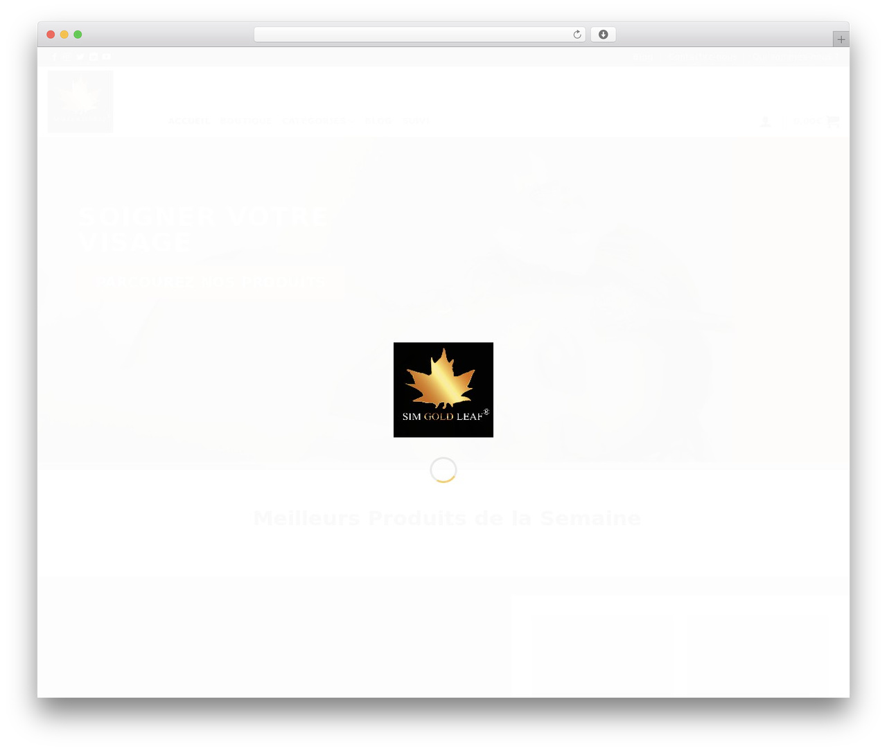 Theme WordPress Flatsome - feuille-or.com