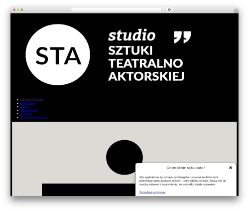 Theme WordPress Studio STA Custom Theme - studiosta.pl