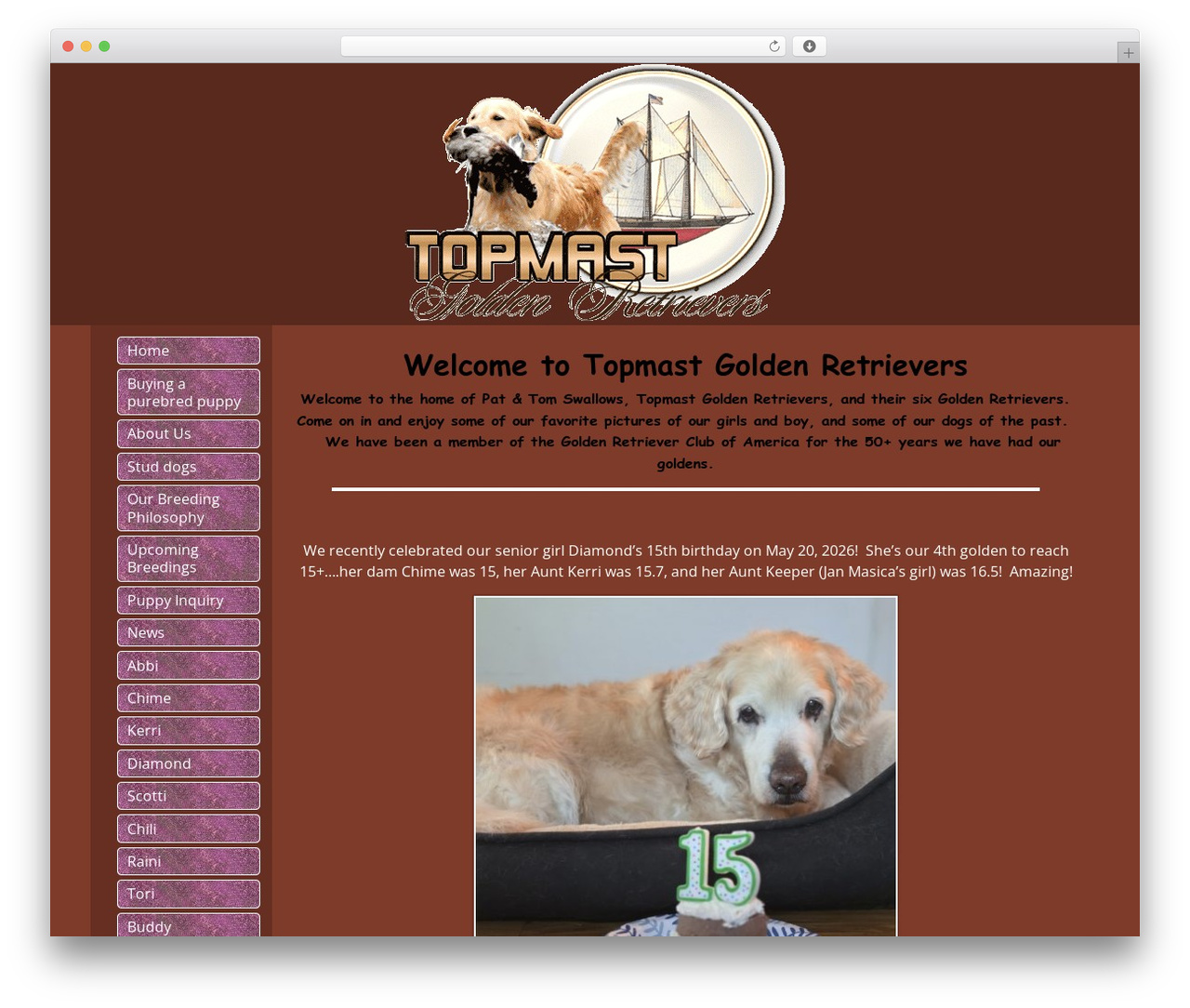 Weaver Xtreme WordPress theme - topmastgoldens.com