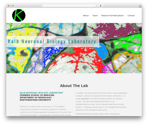 Fastgallery_vc WordPress plugin - kalbneuron.com
