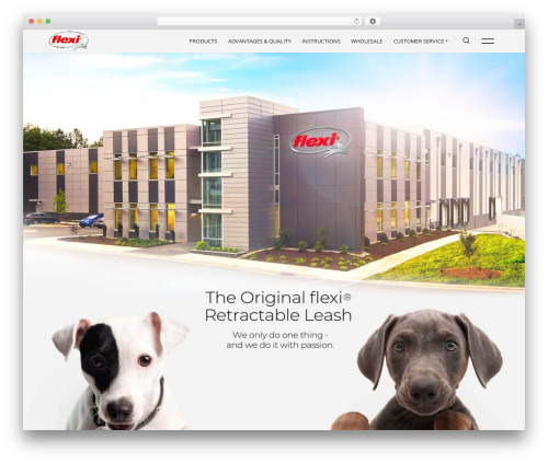 WordPress website theme Flexi - flexi-northamerica.com
