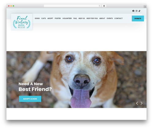 Buzz To The Rescues theme WordPress - finalvictoryrescue.com