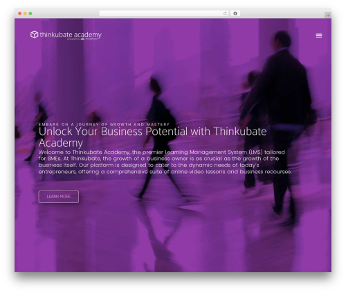 Tin canny learndash reporting WordPress plugin - thinkubate.tech