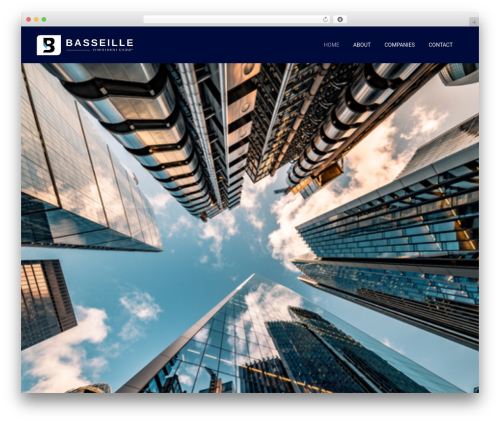Litho addons WordPress plugin - basseilleinvestmentgroup.com