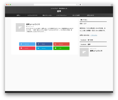 WING-AFFINGER5 WordPress theme - michi93.jp