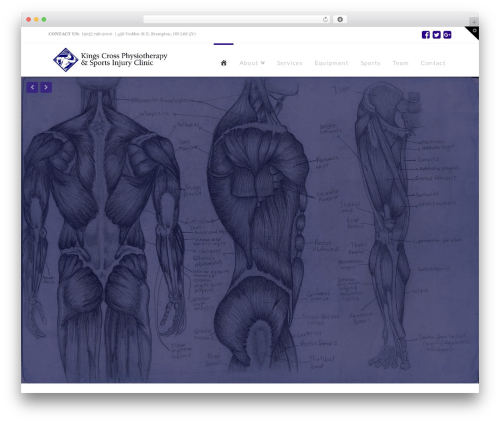 X email mailchimp WordPress plugin - kcphysio.com