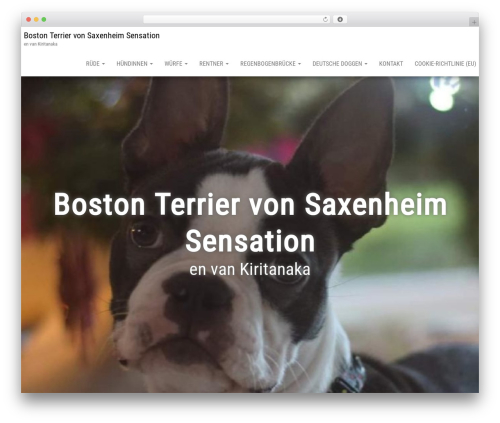 Bulk template WordPress - saxenheim-sensation.com