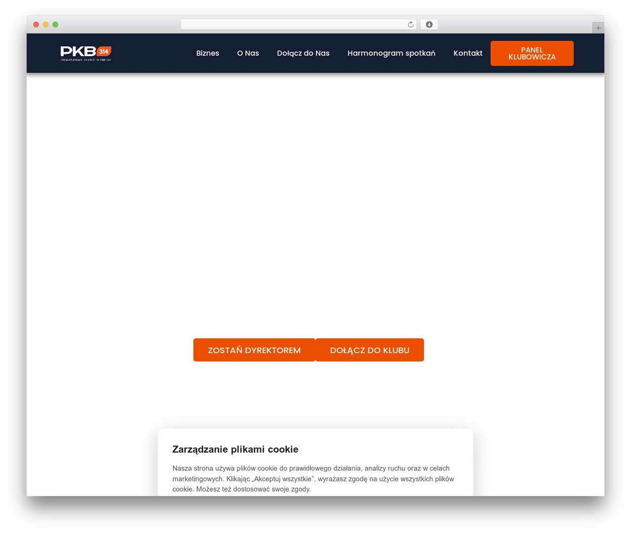 Hello Elementor WP theme - pkb314.pl