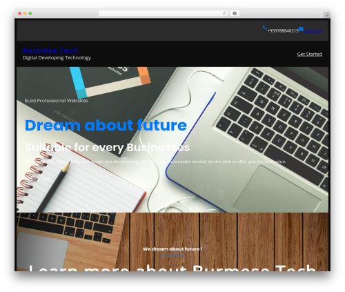 Smartlog WordPress theme - burmesetech.biz