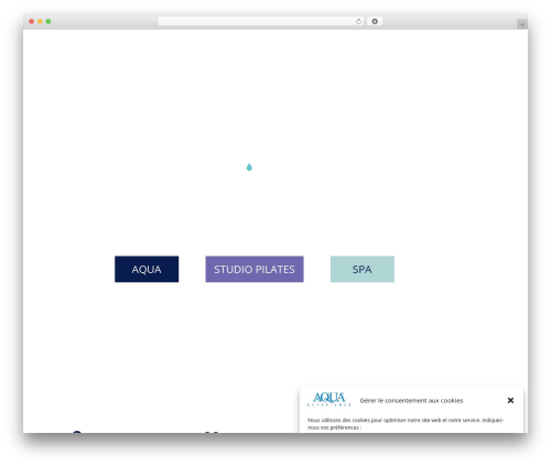 Theme WordPress DDesign - aqua-experience.fr
