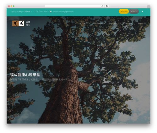 Woocommerce points and rewards WordPress plugin - puchencenter.com
