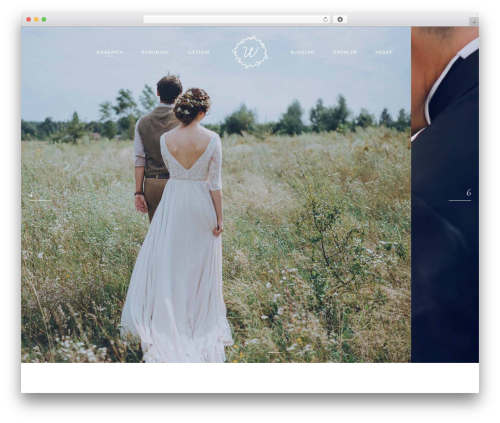 Theaisle core WordPress plugin - samsunpartiorganizasyon.com