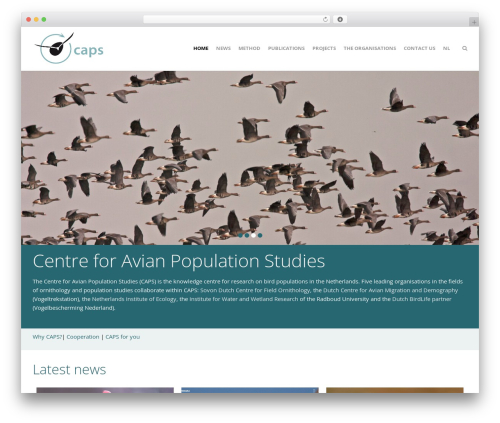 Create WP theme - avianpopulationstudies.org