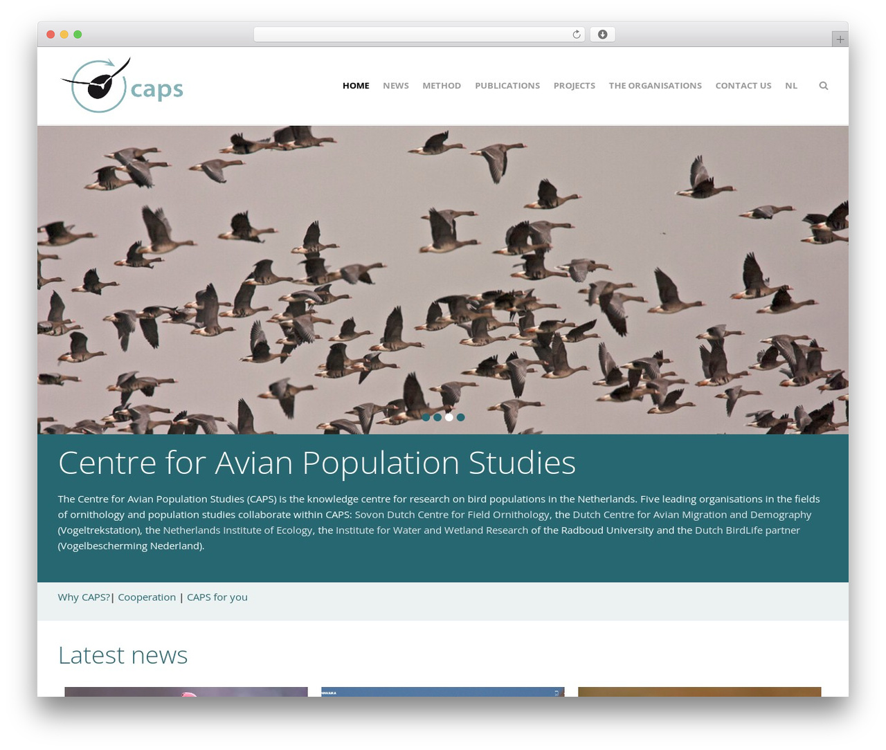 Create WP theme - avianpopulationstudies.org Create WP theme - avianpopulationstudies.org