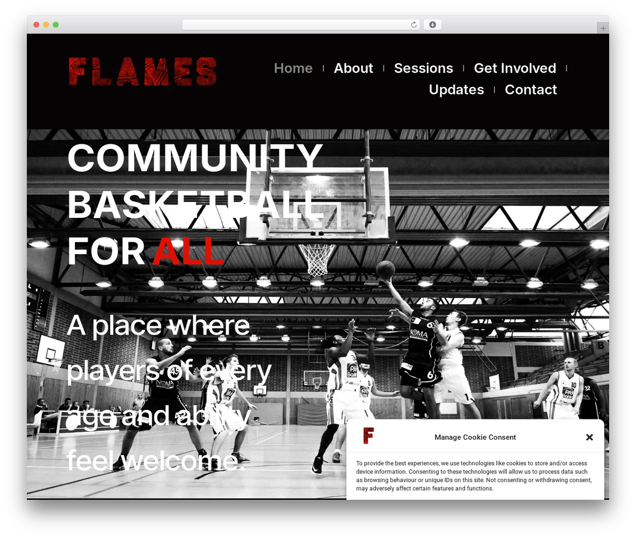 Customify WordPress theme - flamesbasketballuk.co.uk