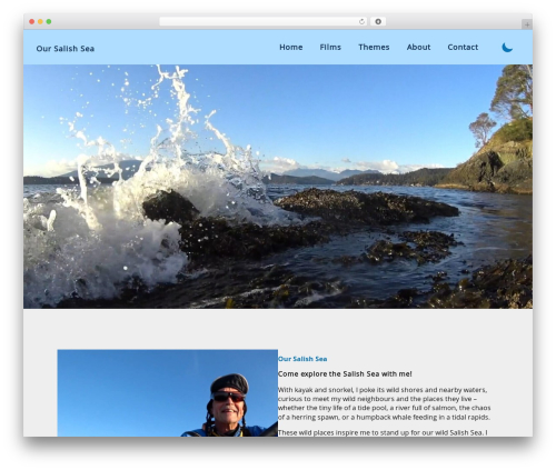 Wavy divider WordPress plugin - oursalishsea.ca