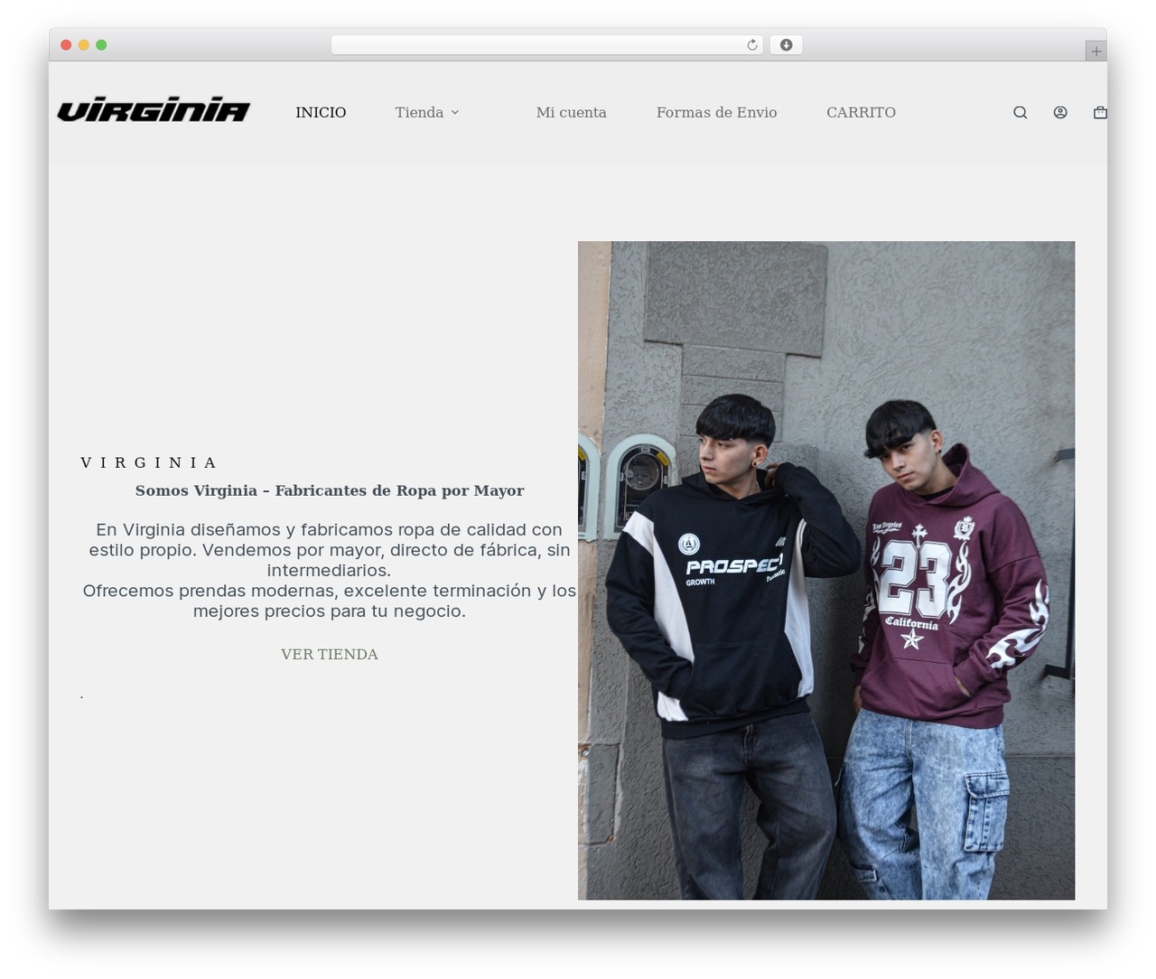 Theme WordPress Blocksy - virginiaindumentaria.com Theme WordPress Blocksy - virginiaindumentaria.com