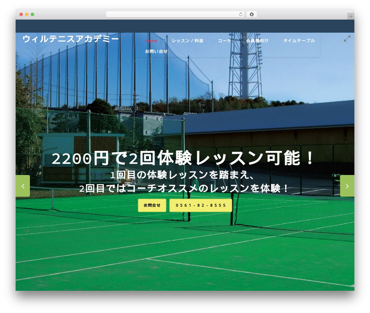 WordPress theme Cherry Framework - will-tennis-seto.com