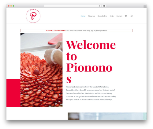 Divi best WordPress theme - piononosinc.com
