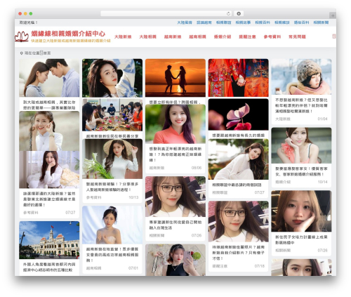WordPress theme Begin - wire99.com