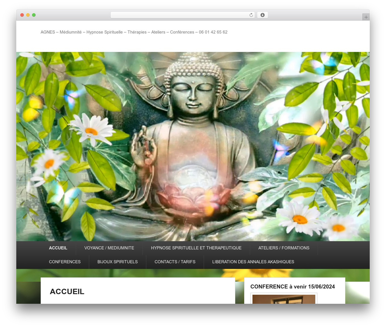 WordPress theme Catch Evolution - agnesmediumenergeticienne.com WordPress theme Catch Evolution - agnesmediumenergeticienne.com