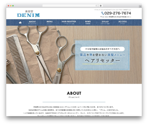 WordPress website theme Themify Basic - hair-denim.com