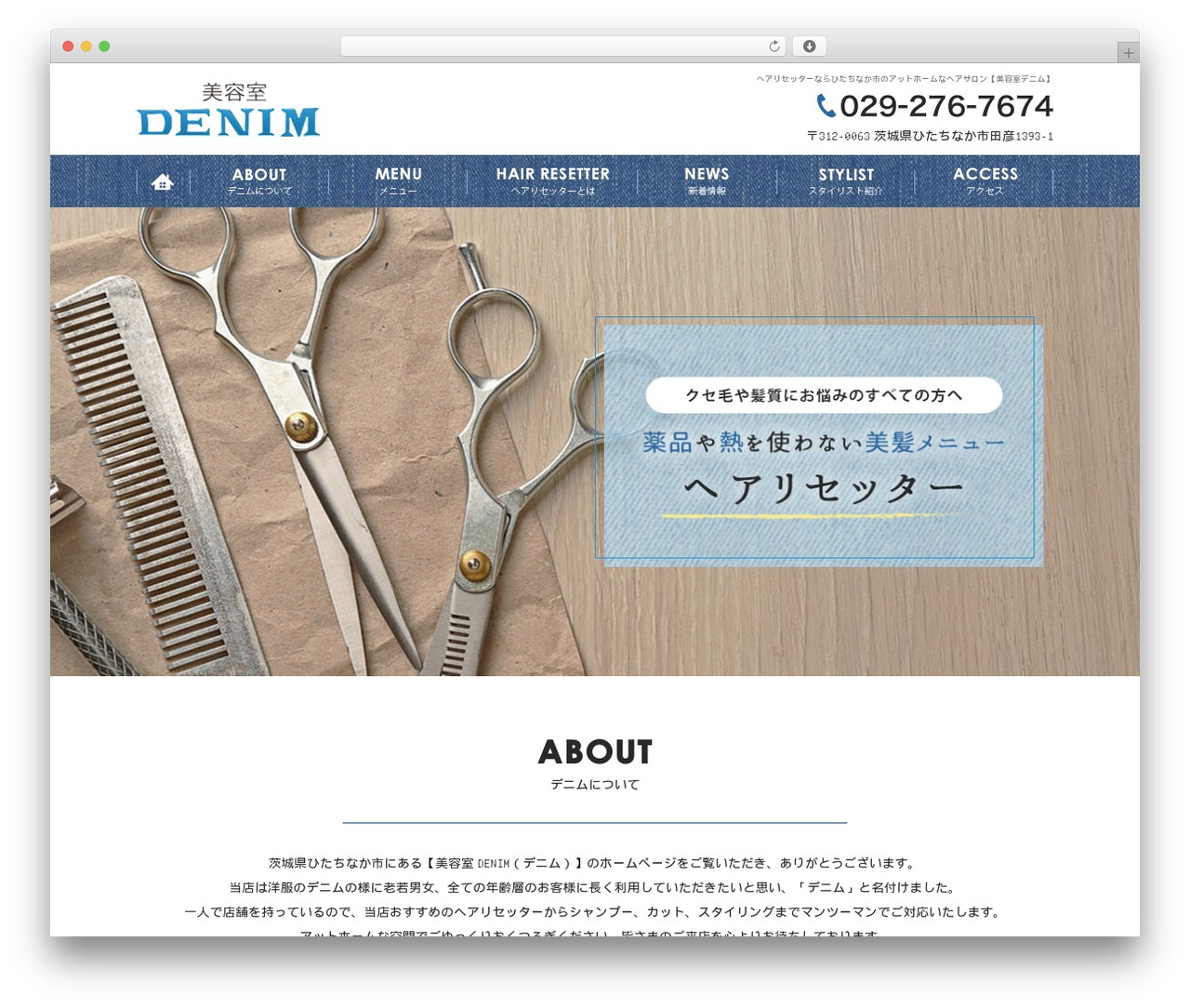 WordPress website theme Themify Basic - hair-denim.com