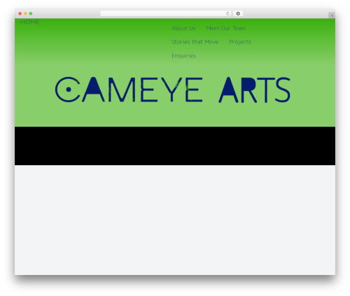 Tenweb builder WordPress plugin - cameyearts.org
