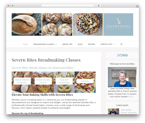 Embedder for google reviews WordPress plugin - severnbites.com