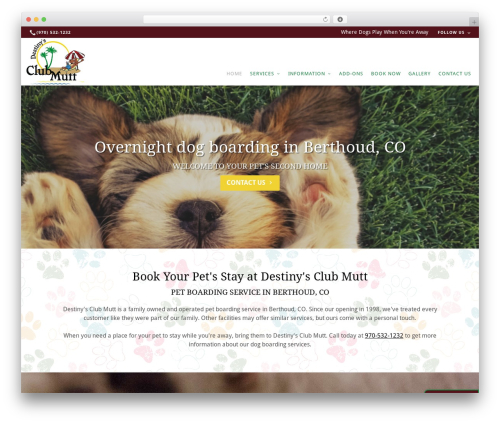 Theme WordPress Beacon Theme - destinysclubmutt.com