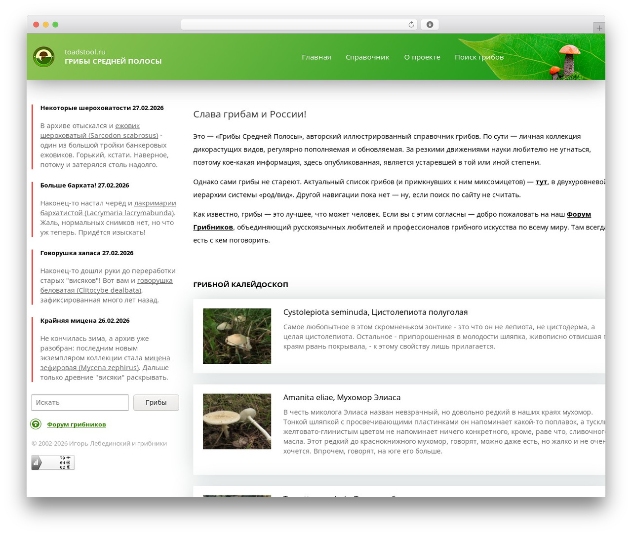 toadstool WordPress theme - toadstool.ru toadstool WordPress theme - toadstool.ru