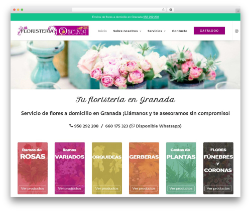 Yith woocommerce ajax search premium WordPress plugin - floresosuna.com