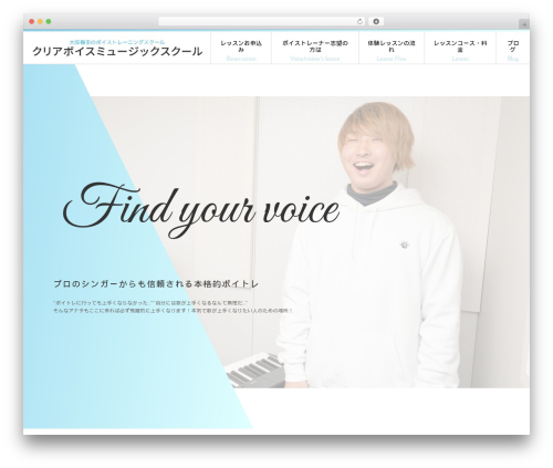 VidSEO | WordPress Video SEO embedder with transcripts (Youtube & Vimeo) (vidseo) free WordPress plugin - clearvoice-music-school.net