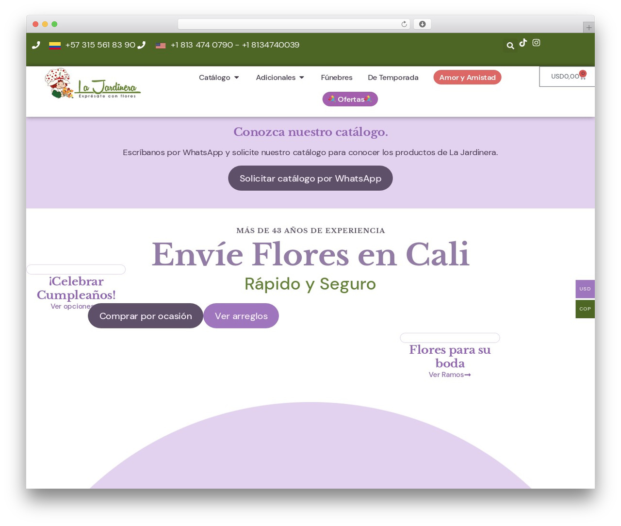 Hello Elementor WordPress theme design - floristerialajardinera.com