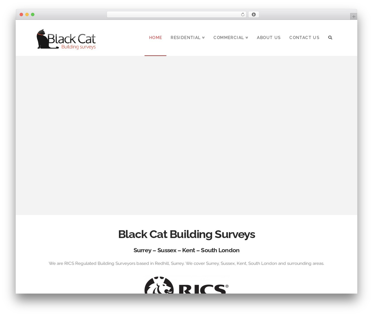 Pro WordPress theme - blackcatsurveys.com
