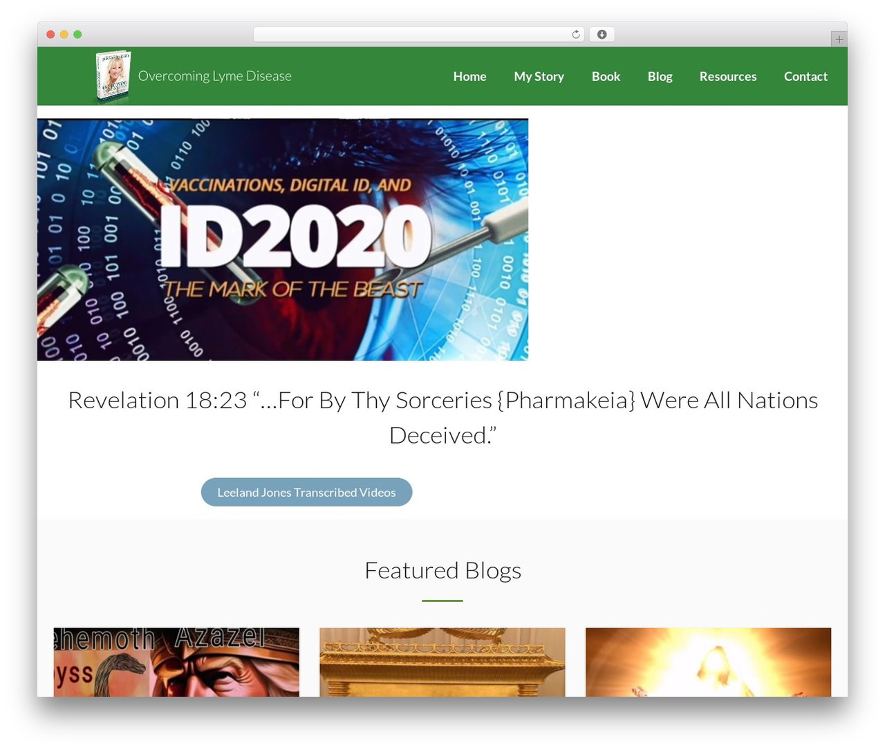 Theme WordPress Lambda - overcominglymedisease.com