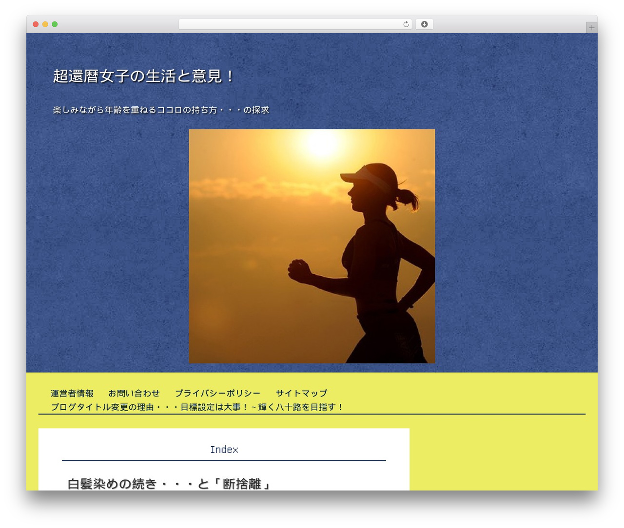 WP theme Principle - kanleki.com