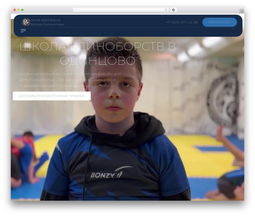 Animation addons for elementor pro WordPress plugin - mma-bro.ru