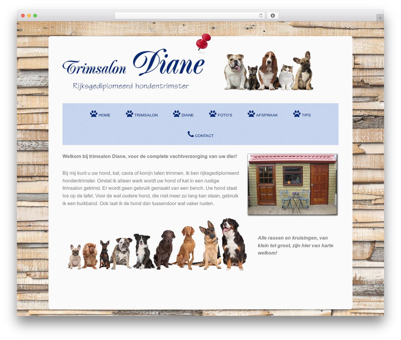 Origami WordPress page theme - trimsalondiane.nl Origami WordPress page theme - trimsalondiane.nl