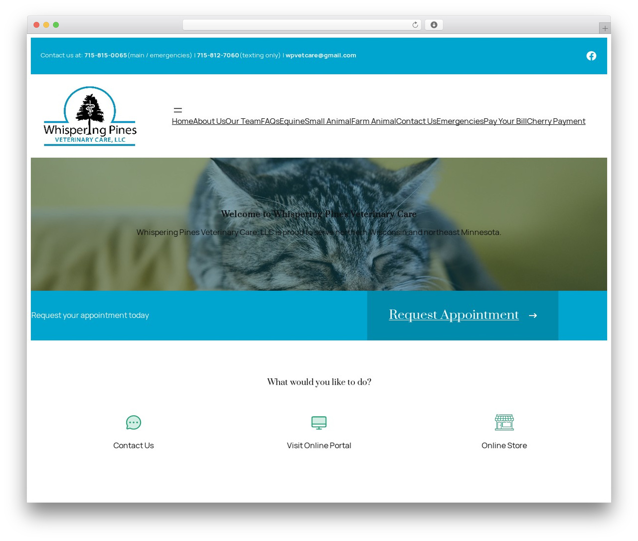 Whimsy WordPress theme - whisperingpinesvet.com