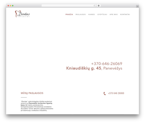 Best WordPress theme Starter theme - dentas.lt